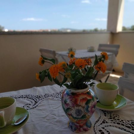 La Casa Dei Fenicotteri Bed & Breakfast Olbia Dış mekan fotoğraf