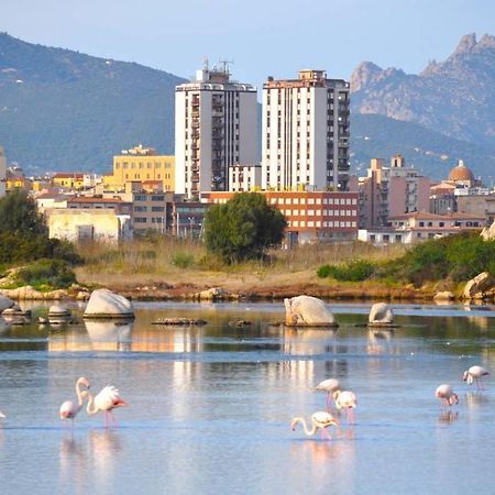 La Casa Dei Fenicotteri Bed & Breakfast Olbia Dış mekan fotoğraf