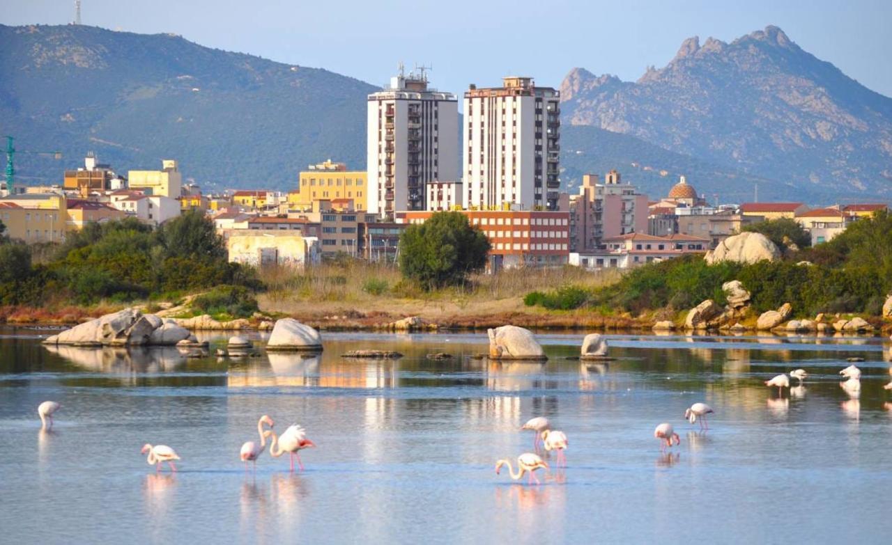 La Casa Dei Fenicotteri Bed & Breakfast Olbia Dış mekan fotoğraf